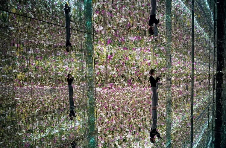 Jardín flotante de orquídeas, instalado en Tokio, Japón. (EFE/EPA)