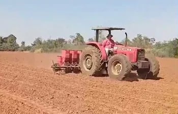 Los agricultores se encuentran trabajando en la preparación de suelo y  la siembra del producto