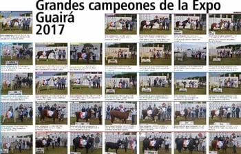 grandes-campeones-de-la-expo-guair-2017-104555000000-1640171.jpg