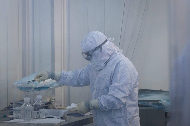 Llegan células madre para fabricación total de vacuna Astrazéneca en Brasil - Mundo - ABC Color