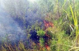 el-fuego-avanza-en-el-cultivo-de-cana-de-azucar-ubicado-en-borja-unas-500-hectareas-fueron-arrasadas--211731000000-1039749.jpg