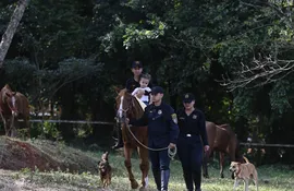 Los caballos retirados de la Agrupación Montada prestan servicio de equinoterapia.