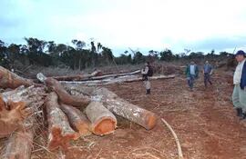 deforestacion-82457000000-556069.JPG
