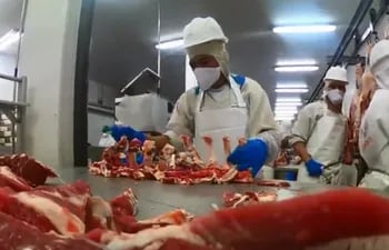 Exportación de carne aumentó en un 8% más que el año pasado