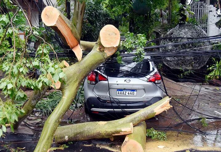 Un automóvil quedó atrapado entre árboles y cables caídos, además de ser afectado por el impacto, en España y General Santos.