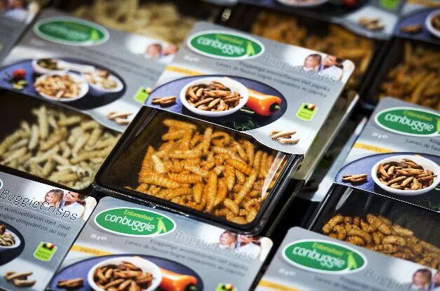 Alimentos hechos con insectos en Holanda - Ciudadano digital - ABC Color