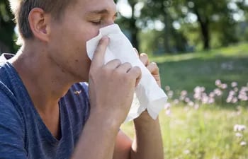 muchas-personas-sufren-de-alergia-al-polen--13349000000-1811947.jpeg