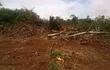 deforestacion-sidepar-131508000000-1272372.jpg