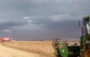 La cosecha de soja de la zafra normal 2024 resultó buena, pero la producción de entre zafra, zafriña, tanto de maíz como de soja, está sufriendo los rigores de la sequía y no se esperan buenos rendimientos.