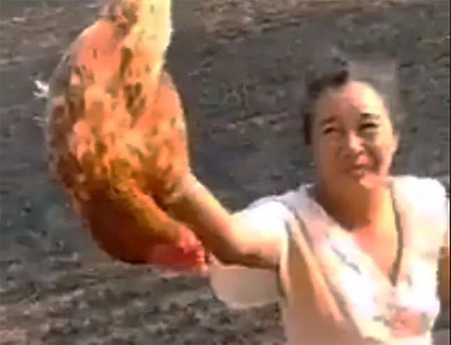 Señora regala una gallina a los bomberos como agradecimiento.