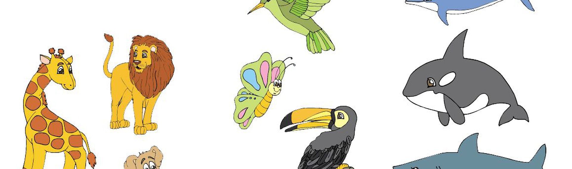 Dibujos Para Colorear De Animales Acuaticos Terrestres Y Aereos