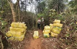La droga estaba oculta con ramas a un costado del Paraná.