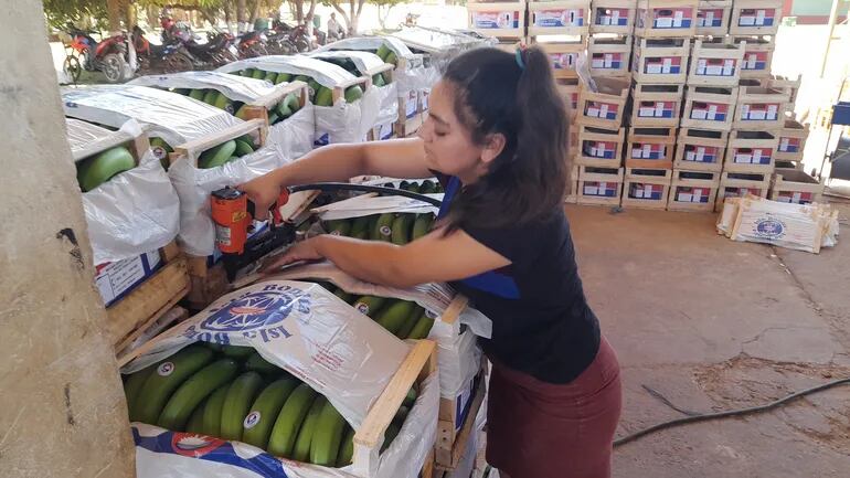 Una trabajadora de Tembiaporâ empaquetando las bananas en cajas de madera.