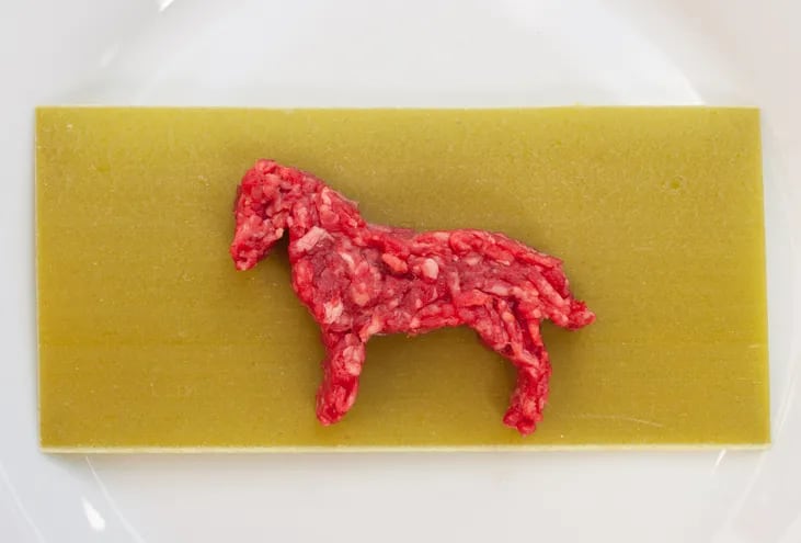 De la carne de caballo se realizan distintos productos, aseguran desde Senacsa.