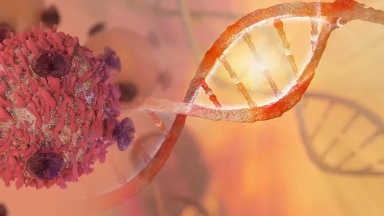 Los genes y el cáncer