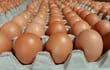 Mister Huevo produce y ofrece una línea de  huevos seleccionados. La firma logró imponerse en la preferencia del mercado.