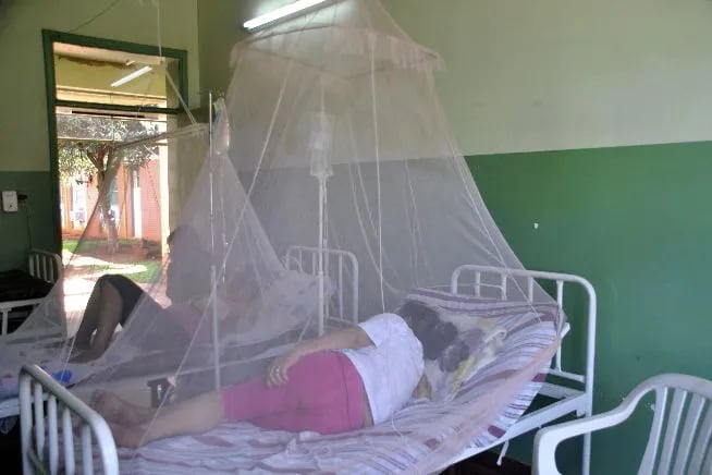 En Paraguay, 19 personas fallecieron este año a causa del dengue, según el Ministerio de Salud Pública.