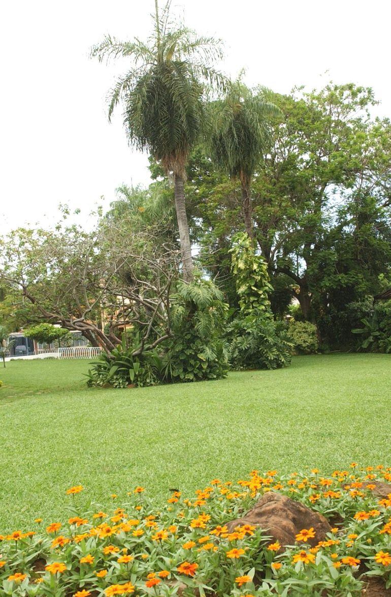 Mejorar el césped - Casa y Jardín - ABC Color