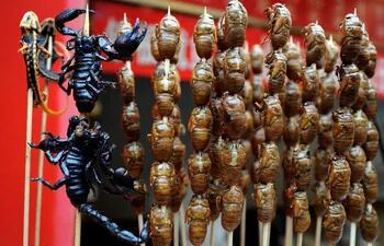 Se denomina entomofagia al consumo de insectos por parte de los seres humanos.