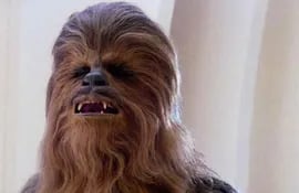 Chewbacca, el icónico personaje de Star Wars. (Imagen de referencia).