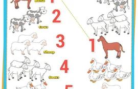 make-a-line-to-connect-the-animals-with-their-corresponding-number-trace-the-numbers--205419000000-1734030.jpg