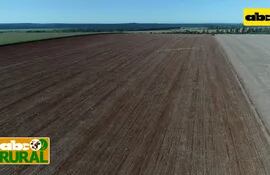 ABC Rural: Fertilización de base mejorando la biología del suelo