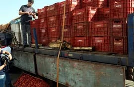 cargamento-de-tomate-ingresado-de-contrabando-e-incautado-en-las-cercanias-de-ciudad-del-este-el-martes-pasado-ltimas-autorizaciones-para-importar-e-213718000000-1621637.jpg