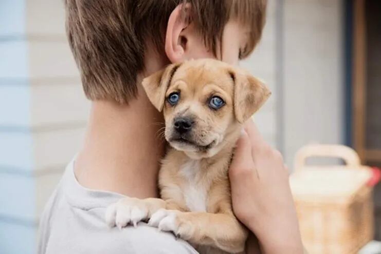 La tenencia de animales reduce las posibilidades de sufrir asma; las mascotas pueden detectar otras enfermedades, afirma una veterinaria local.