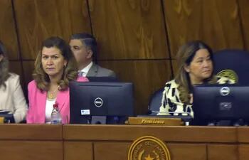 La ministra de Salud, María Teresa Barán, y la vicepresidenta de la Comisión Bicameral de Presupuesto del Congreso, diputada Cristina Villalba.