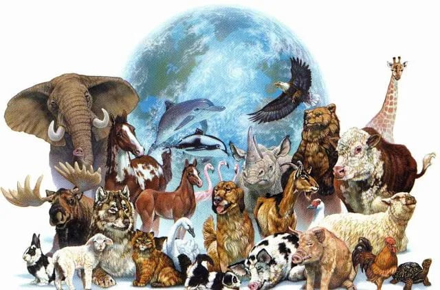 Distintos tipos de animales que ocupan en el planeta Tierra