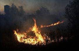 Fuego cerca de la localidad de Victoria, en la provincia argentina de Entre Ríos.