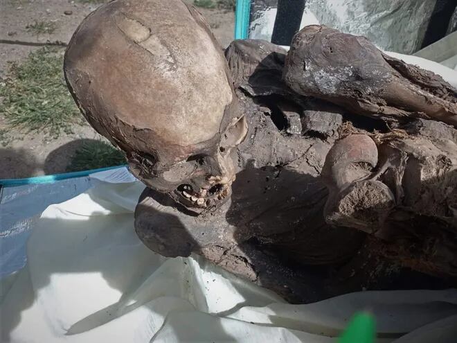 AME8343. LIMA (PERÚ), 27/02/2023.- Fotografía cedida por el Ministerio de Cultura, que muestra una momia prehispánica. Una momia prehispánica, de entre 600 y 800 años de antigüedad, fue hallada dentro de la mochila de un repartidor de una empresa de "delivery" (reparto a domicilio) en la región peruana de Puno, colindante con Bolivia, informaron este lunes fuentes oficiales.