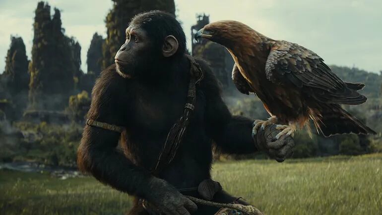 El reino del planeta de los simios película
