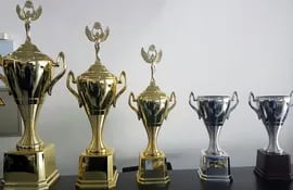 estos-son-los-hermosos-trofeos-que-estaran-en-disputa-hoy-en-la-segunda-fecha-del-nacional-de-fosa-olimpica--221717000000-1599339.jpg