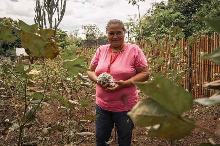 La artesana Daniela Cardozo exhibiendo en mano su propia cosecha de algodón.