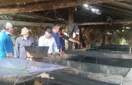 Los productores de caña de azúcar de Arroyos y Esteros explicaron sobre el sistema de trabajo para el procesamiento de la materia prima.