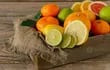 La naranja, la mandarina, el limón y el pomelo son algunos de los cítricos que fortalecen el sistema inmunológico, son fuente importante de vitaminas y minerales, y aportan muchos otros beneficios.