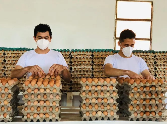 Los productores de huevos advirtieron acerca de la invasión de productos de contrabando.