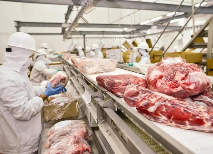La carne vacuna y sus principales sustitutos tuvieron un  alto impacto para la inflación de enero pasado.