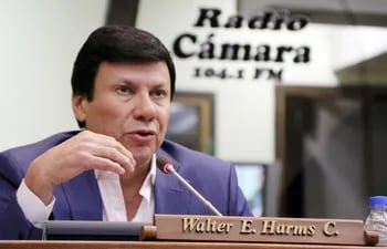 El diputado Walter Harms cuestionó las declaraciones de Rubén Rubin ayer en el Congreso, que se viralizaron y llegaron a medios argentinos.