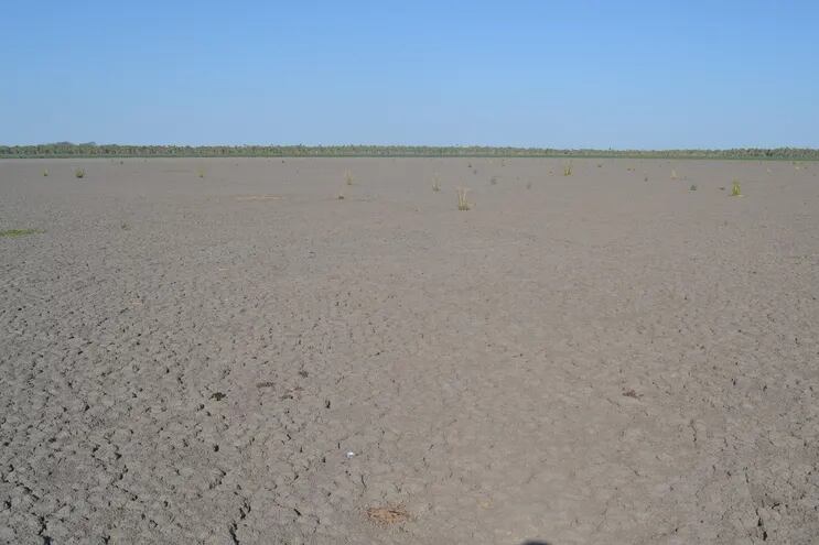 Desolador panorama: solo tierra seca de lo que fue la laguna Inglesa, de más de 200 hectáreas.