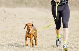 perros-corriendo-entrenamiento-104501000000-1683579.jpeg