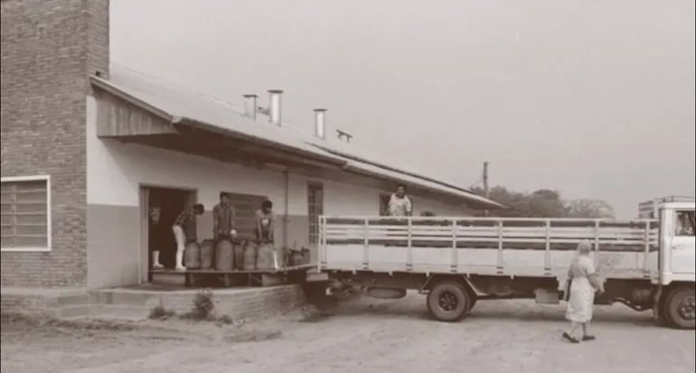 CO-OP nace de la unión de dos colonias: Neuland y Fernheim. Ambas, llegaron al Chaco paraguayo entre los años 1929 y 1947 con ganas de trabajar y construir un nuevo hogar. El rubro lechero fue uno de gran aceptación.