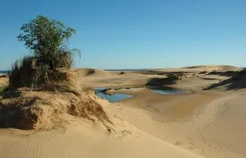 Diputados declaran patrimonio turístico las dunas de San Cosme y Damián.