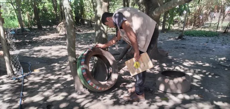 Un funcionario de Senepa verifica cuidadosamente el contenido de un neumático viejo encontrado en uno de los patios durante la tarea de limpieza