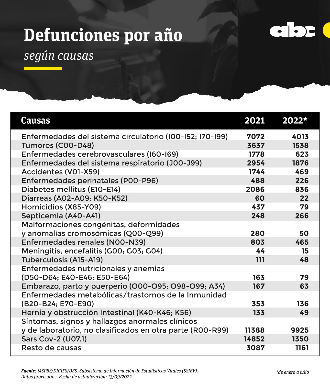 Principales causas de muerte en Paraguay según la Dirección de Información Estratégica de Salud Pública. 