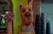 La productora Warner Bros y la plataforma de alquiler de alojamientos Airbnb ofrecen en alquiler una estancia en la famosa furgoneta “The mystery machine” (La máquina del tiempo) en la que viajaban el perro Scooby-Doo y su pandilla, para celebrar el 20 aniversario del estreno de la película.