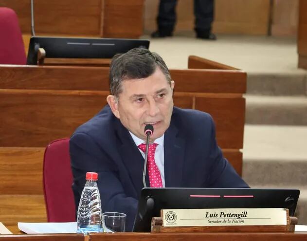 Luis Pettengill (ANR).  (Foto: Prensa Senado.)