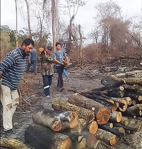 Imagen captada del video de los campesinos, haciendo “metro” del bosque ajeno.