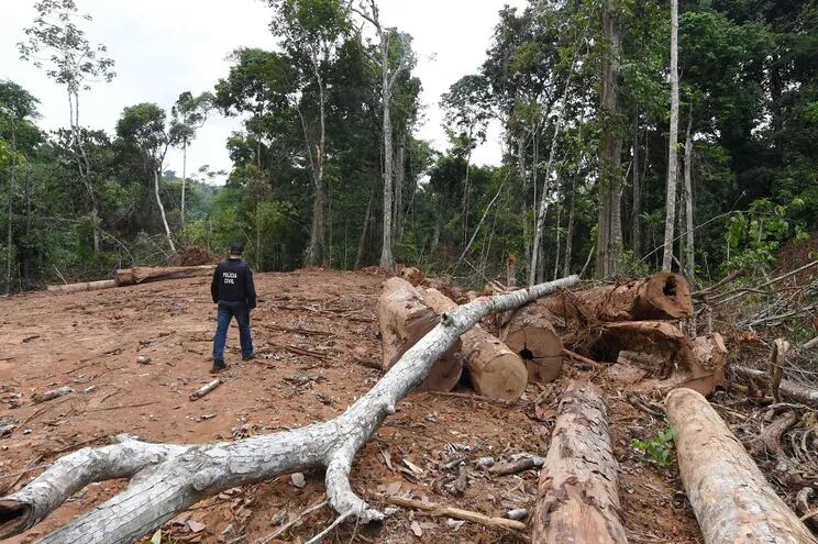Un policía inspecciona una zona deforestada de la Amazonía en el estado brasileño de Pará, en septiembre.